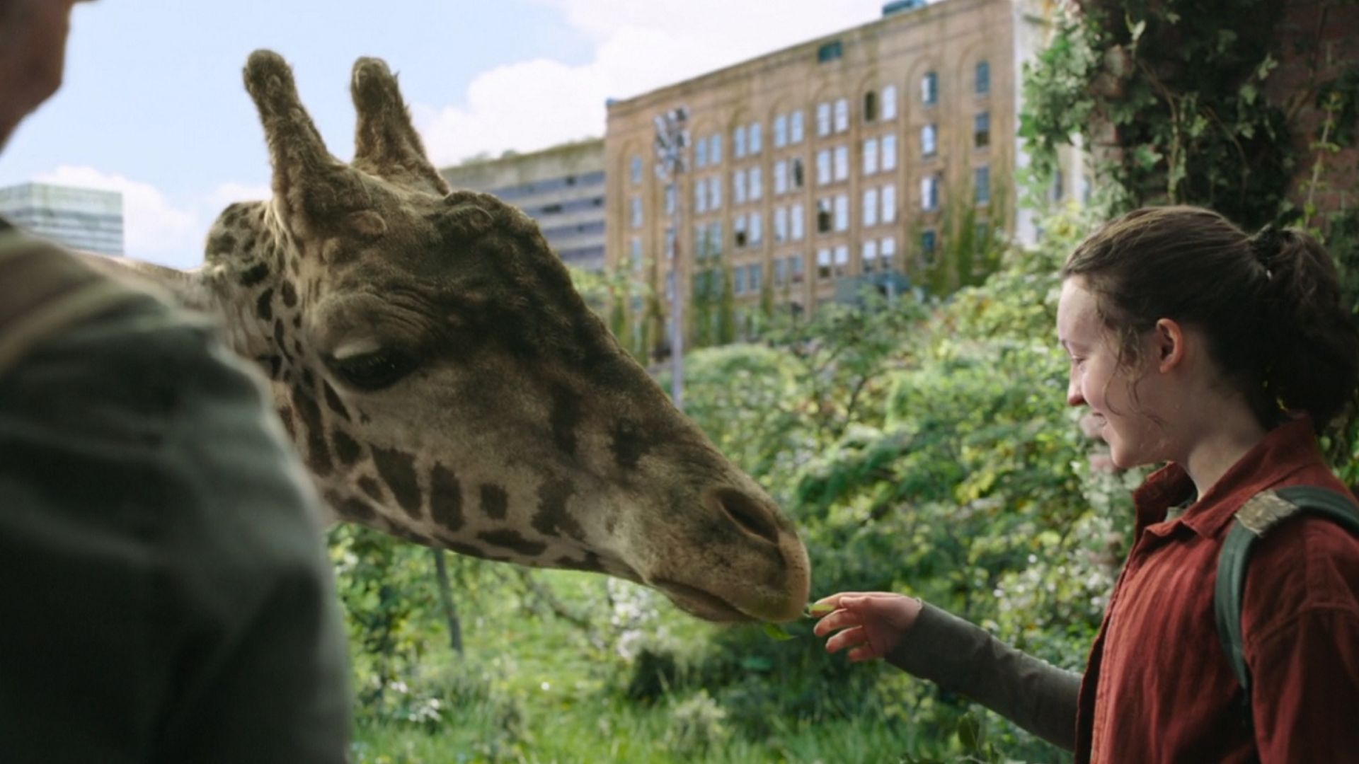 The Last Of Us usou girafa de verdade para recriar cena do jogo